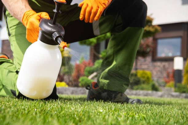 Best Best Pest Control Companies  in Chena Ridge, AK