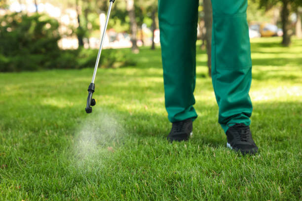 Professional Pest Control in Chena Ridge, AK