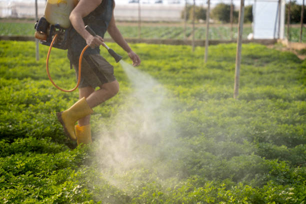 Best Local Pest Control Services  in Chena Ridge, AK