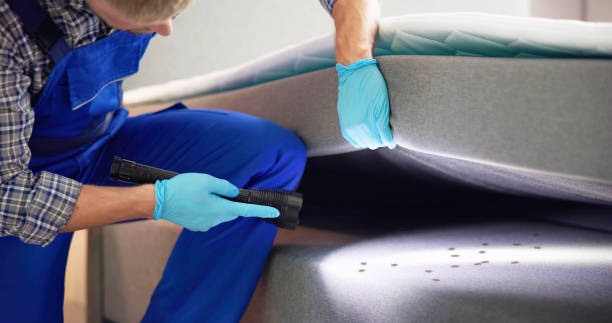 Best Flea Control Services  in Chena Ridge, AK