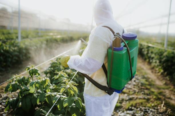 Best Affordable Pest Control Services  in Chena Ridge, AK